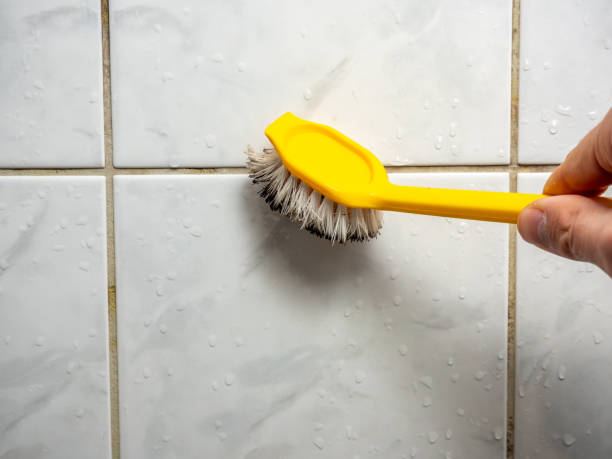 Best Mold Damage Repair  in Stromsburg, NE